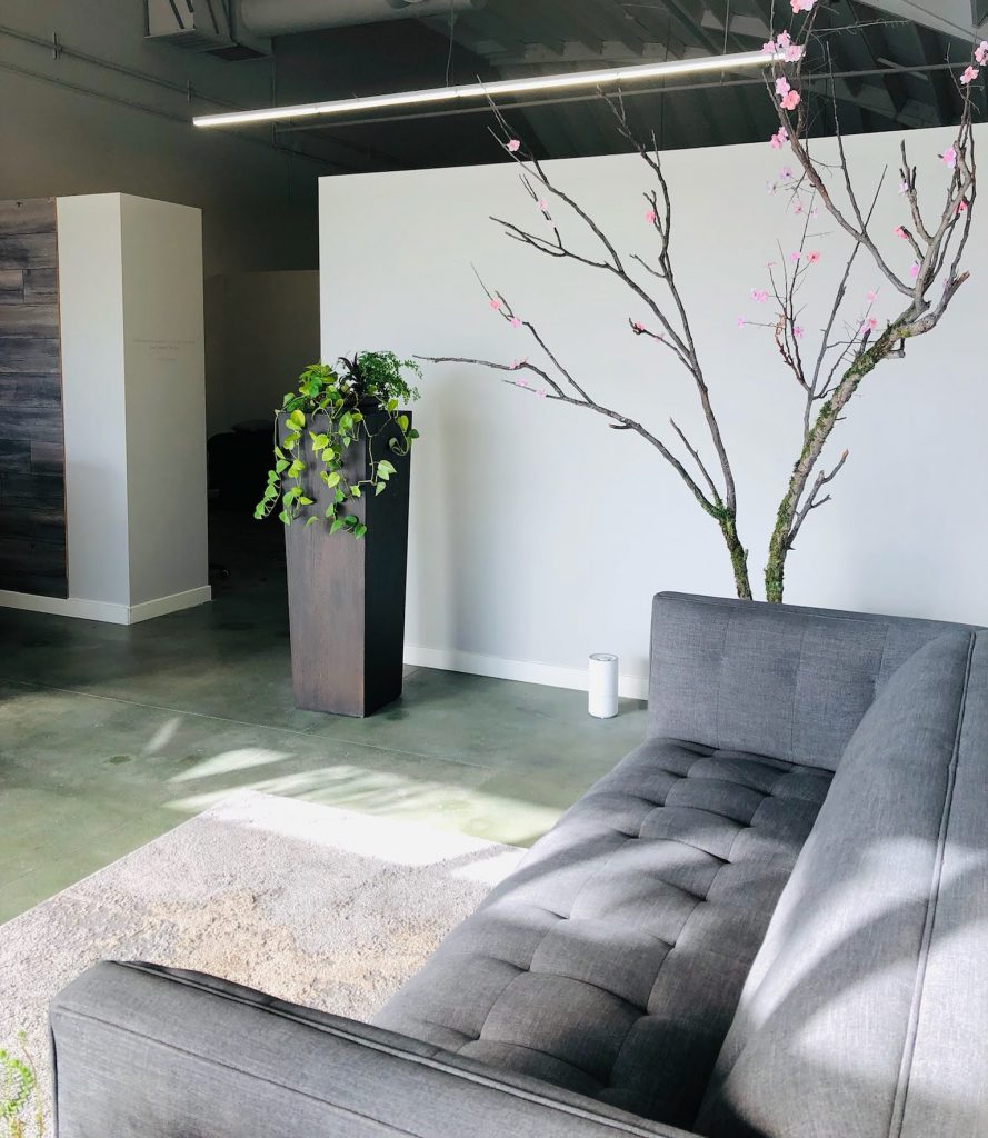 Interior of You Doll You Eyelash Extensions reception area.